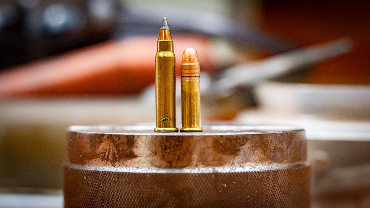 .17 HMR vs .22lr
