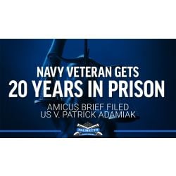 20 Years in Prison for Inert and "Dummy" Parts - Amicus Brief Filed