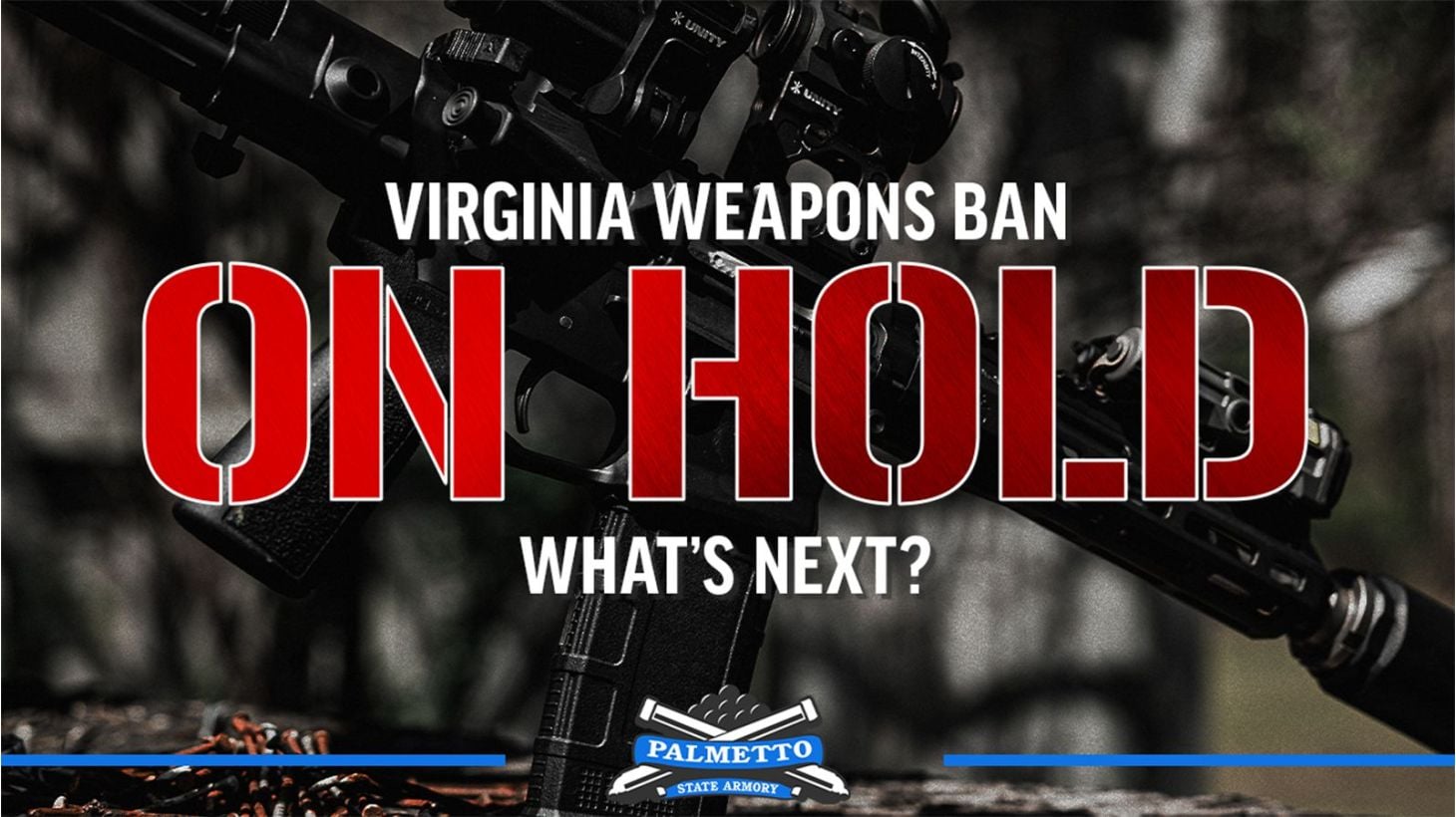 BIG NEWS: Virginia Weapons Ban ON HOLD - What's Next? Main blog image