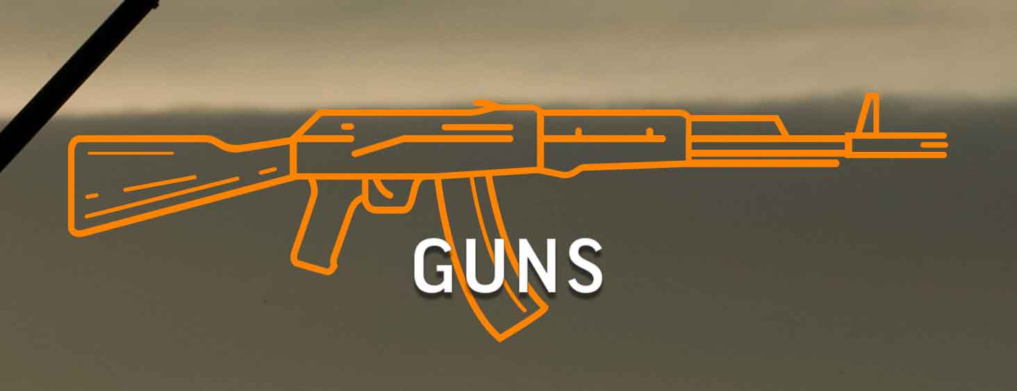 shop for the best deals on guns