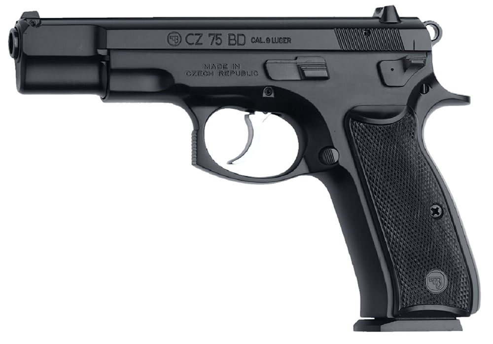 Pistols &amp; Handguns
