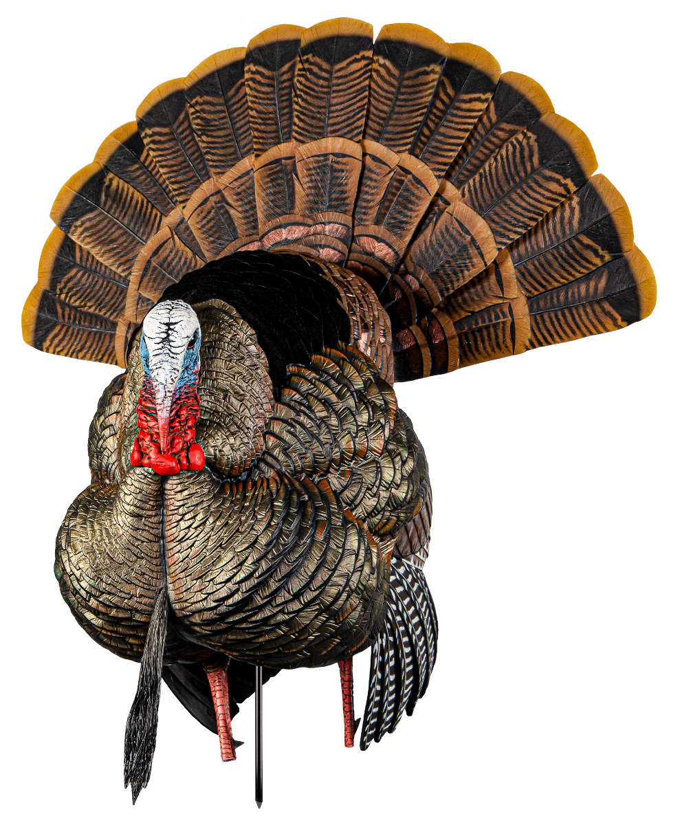 Turkey