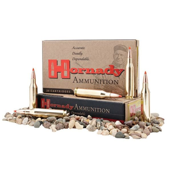 Hornady Custom 165 gr FTE .350 Legend Ammo, 20/box - 81197