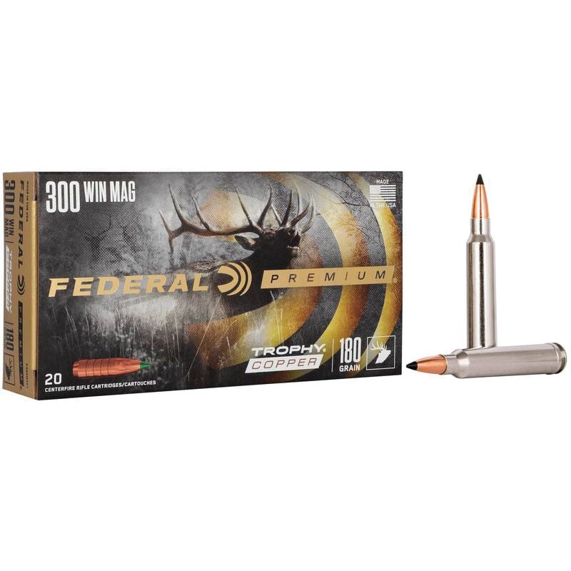 Federal American Eagle .40 S&W 180 gr FMJ 50rds
