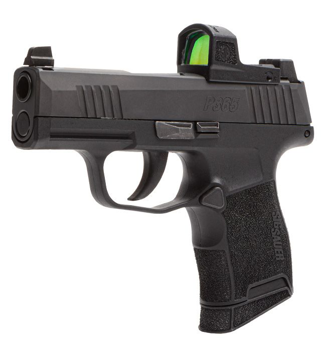 10 Best Carry Guns For The Money PewPewZone