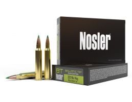 Nosler 300 Win Mag 180 grain Ballistic Tip