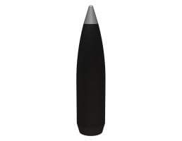 Winchester Ballistic Silvertip .25 WSSM 85 gr Ammo Fragmenting Polymer Tip - 20rds - SBST25WSS