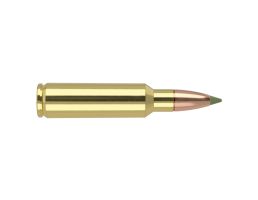 Nosler Trophy gr Ammoade .325 WSM 180 gr Ammo E-Tip - 20rds - 40146