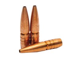Lehigh Defence 65 gr Reloading Bullets Grendel 110 gr Reloading Bullets 50rds  05264110CUSP