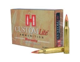 .270 Win Rifle Ammo