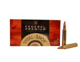 300 Winchester Magnum Front View