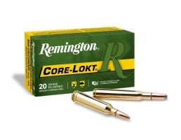 Remington 308 Win 180gr Core-Lokt SP Ammunition
