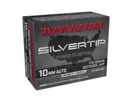Winchester Silver Tip 175gr HP 10mm Ammo ,20rd - W10MMST