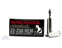Winchester 22-250 Ammo Ballistics Silvertip Rifle Ammunition 20rds - SBST22250B