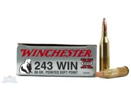 Winchester .243 80GR