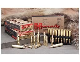 .22-250 Ammo Ballistics