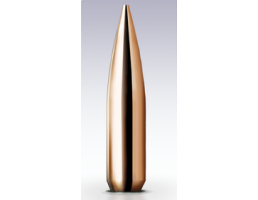 Nosler 308 Caliber 308 155gr Custom Competition Hollow Point BT Bullets 100ct  53155