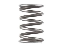 Dead Air Piston Spring, Stainless