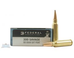 .300 Savage Rifle Ammo