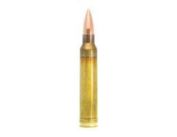 Lapua Scenar .300 Win Mag 185 gr OTM 10rds