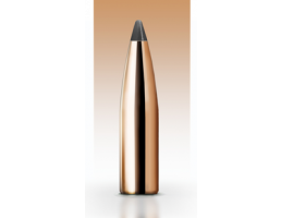 Nosler 6mm 243 95gr Partition Spitzer Bullets 50ct  16315