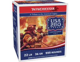 Winchester 22LR Ammo 36 Grain Hollow Point 555 Round Brick - 22LR555HP
