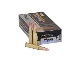 .308 Winchester Ammo