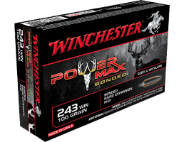 Winchester .243 Win Bullets