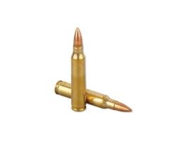 Winchester USA .223 Remington 55 gr FMJ 1000rds/Case
