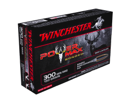 .300 Winchester Mag Ammo