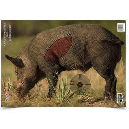 Birchwood Casey Dirty Bird 12x18 Silhouette III Target | Sportsman's