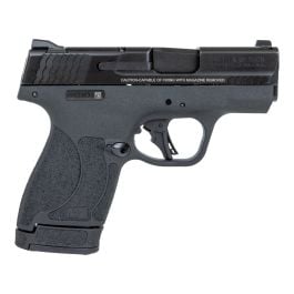 Smith and Wesson Shield Plus 9mm Pistol w/ TS 13246 | Palmetto