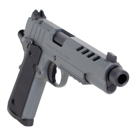 Tisas USA 1911 Night Stalker SF .45 ACP Pistol 5" 8rds, Platinum Gray - High-Performance and Stylish - 10100556