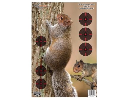 Birchwood Casey Pregame Squirrel Target (8-Pack) - 35406