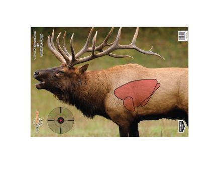 Birchwood Casey Pregame Elk Target (3-Pack) - 35404