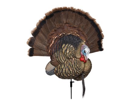 Avian-X Trophy Tom Decoy - AVX8021