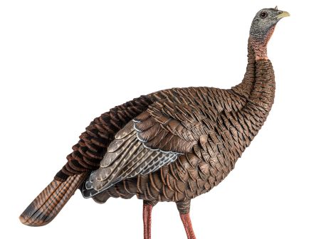 Avian-X HDR Hen - AVX8106