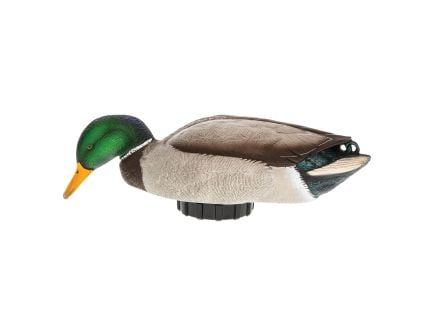 Avian-X Power Shaker Motion Surface Feeder Mallard Drake Decoy