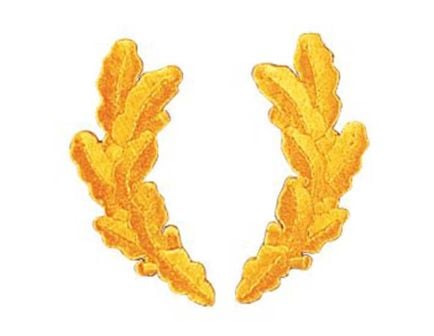 Scrambled Eggs Military Patch