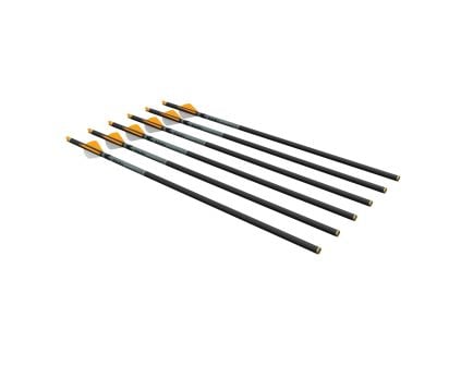 Ravin Crossbows R500 400 gr Arrow Pack of 6