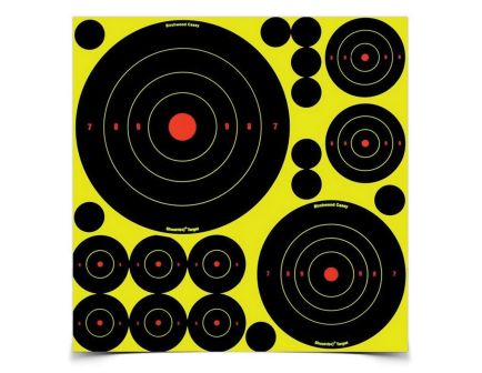 Birchwood Casey Shoot-N-C Target Variety Pack, Blue