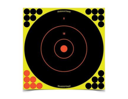 Birchwood Casey Shoot-N-C Bullseye Target, Pack of 500