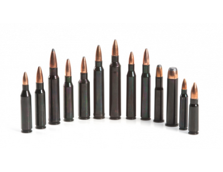 Traditions Rifle Training Cartridges - ATR762RUS