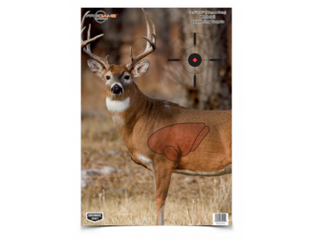 Birchwood Casey  Pregame Target 16.5x24 Deer 3EA - 35401