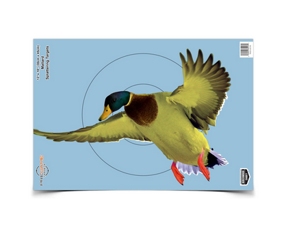 Birchwood Casey Pregame target 12x18 Duck 8EA - 35407