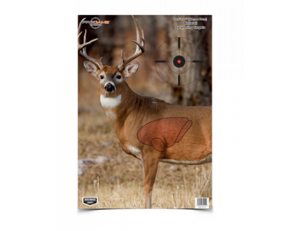Birchwood Casey Pregame - 16.5" x 24" Deer Target - Each - 35411
