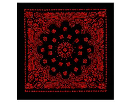 Rothco Trainmen Paisley Bandana 