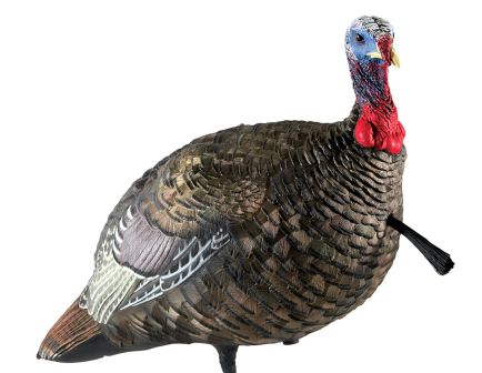 Avian-X LCD Quarter Stut Jake - 8003
