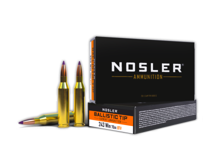 Nosler .243 Winchester 70 gr BTVS 20rds Rifle Ammo for Precision Hunting - 40041
