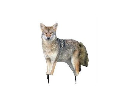 Montana Decoy Song Dog Coyote Decoy